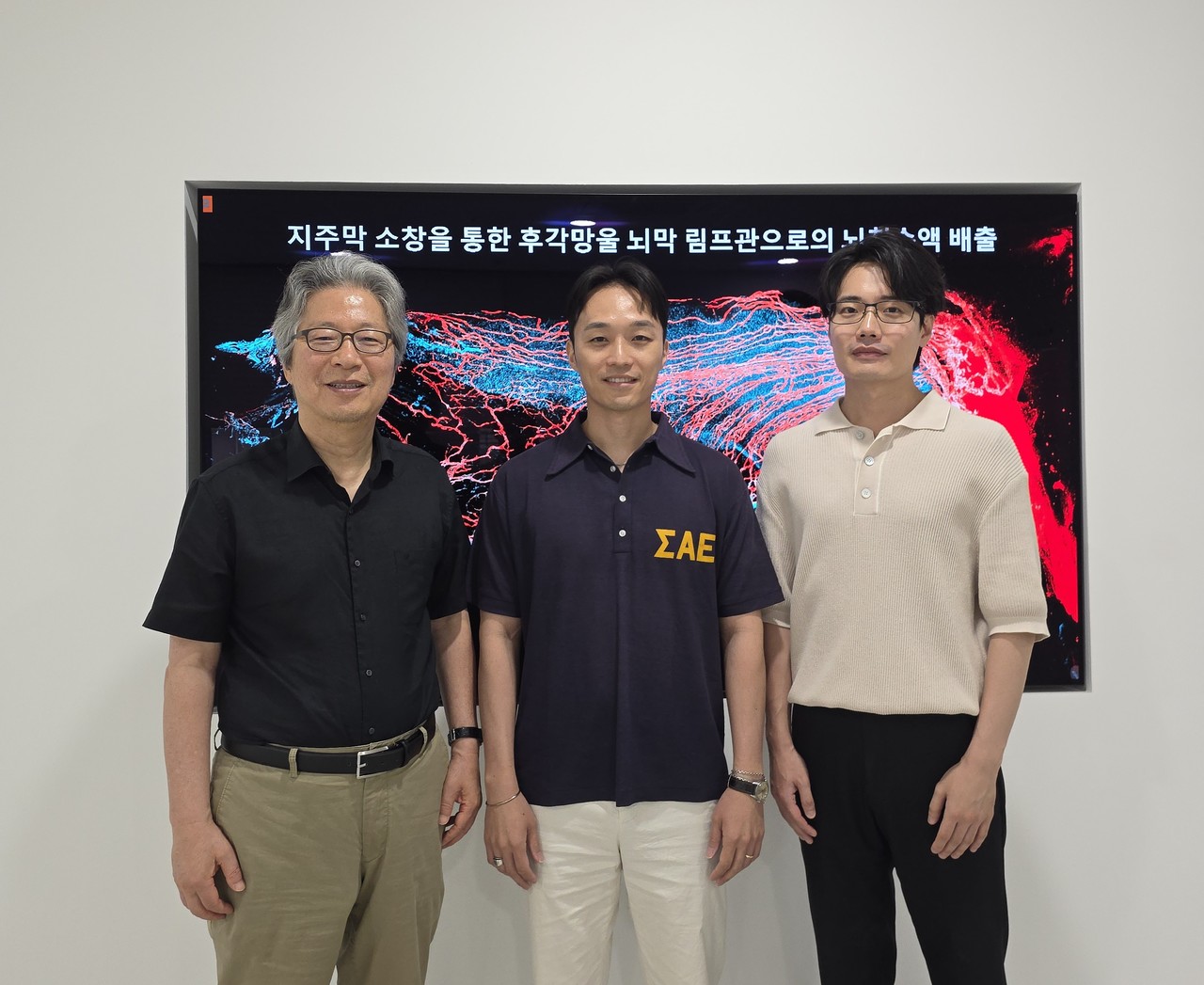뇌가 노폐물을 버리는 '첫 관문' 찾았다…IBS, 지주막 미세 구멍으로 치매 새 실마리