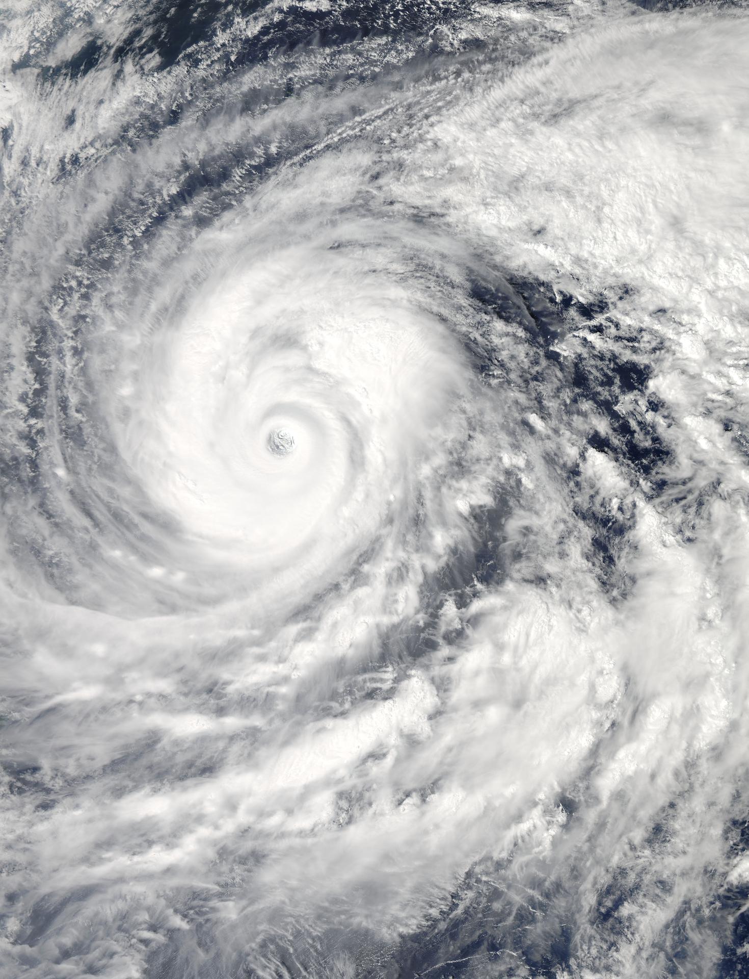 [기획] 거친 해상도로 태풍의 길·힘·크기 함께 읽었다…평균 하루 번 AI ‘WeatherNext Cyclones’