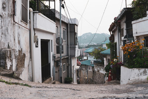 기사 대표 이미지