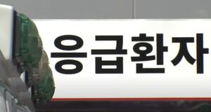 기사 대표 이미지