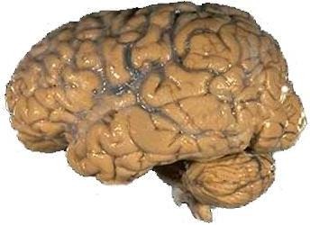 기사 대표 이미지